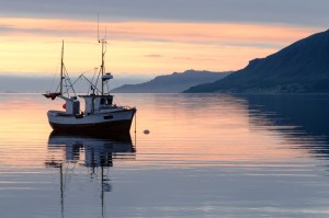 KKP Kerja sama dengan Global Fishing Watch untuk mengurangi kejahatan illegal fishing / Shutterstock