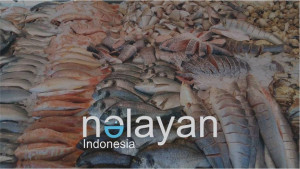 Nelayan.id dan impiannya membantu meningkatkan hidup nelayan Indonesia / Nelayan