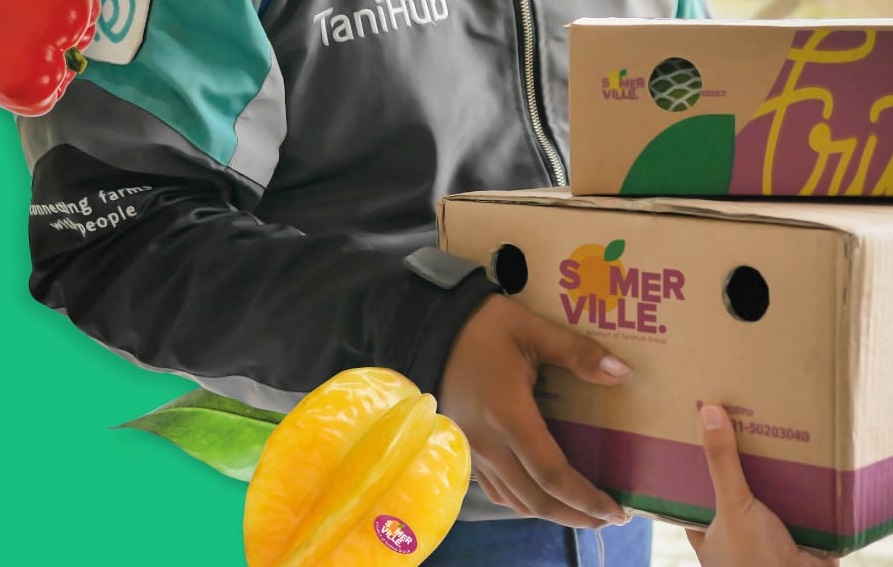 TaniHub and IFC partnered up to improve Indonesia's agriculture quality / TaniGroup