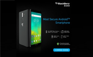 BlackBerry Evolve Resmi