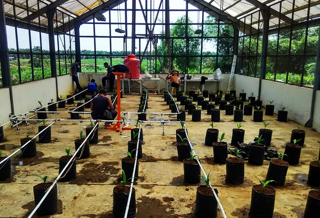 Mertani menghadirkan produk IoT untuk kebun dan pertanian