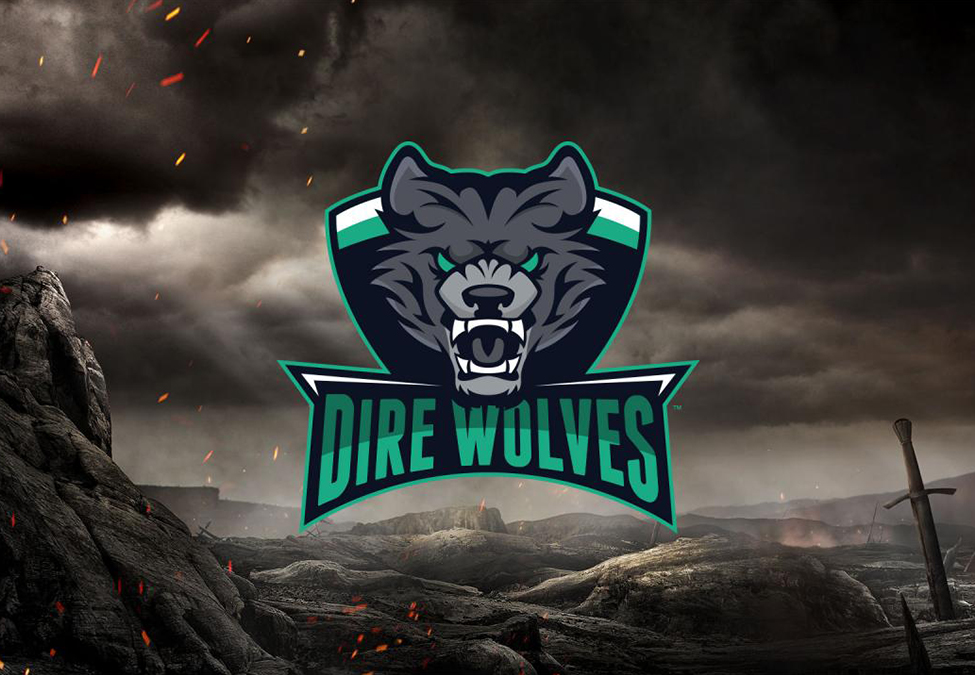 Jadi Sponsor Sejak 2016, Kerja Sama Antara LG Australia dan Dire Wolves ...