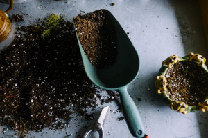 Urban farming lahir dari keresahan akan alternatif bahan pangan dan kesadaran lingkungan. Belakangan, kegiatan ini turut menjadi perhatian pemain agritech.