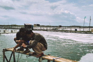 Jala Tech startup aquatech untuk petambak udang bersiap untuk ekspansi kantor cabang ke Thailand pada tahun 2021 siap rekrut talenta lokal untuk penetrasi pasar