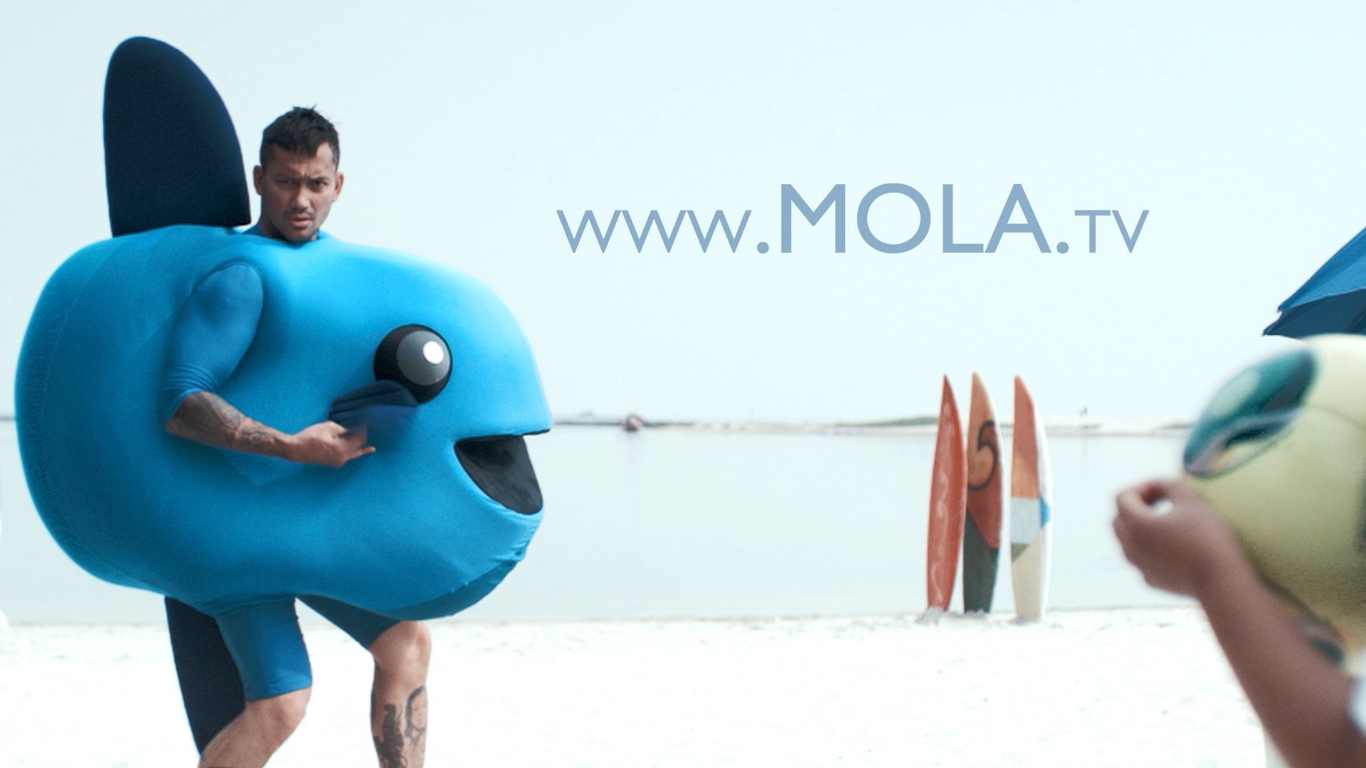 Bisnis Mola TV