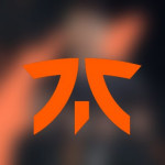 fnatic hisense