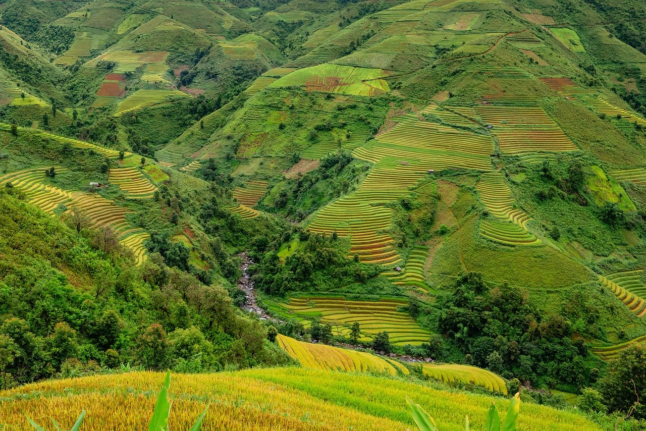 Indonesia dan negara-negara Asia lainnya menghadapi permasalahan serupa dalam mengelola industri agritech