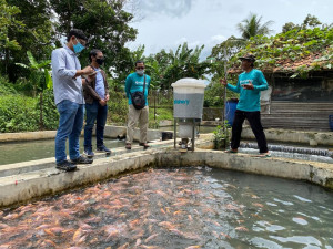 Startup akuakultur eFishery mengangkat mantan CEO GoPay Aldi Haryopratomo sebagai komisaris, mundur dari GoPay efektif per Januari 2021