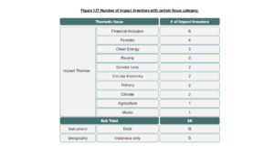 Investing in Impact in Indonesia Report / ANGIN