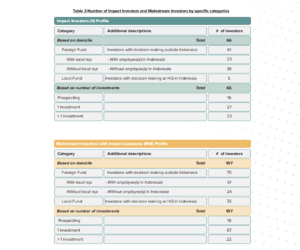 Investing in Impact in Indonesia Report / ANGIN