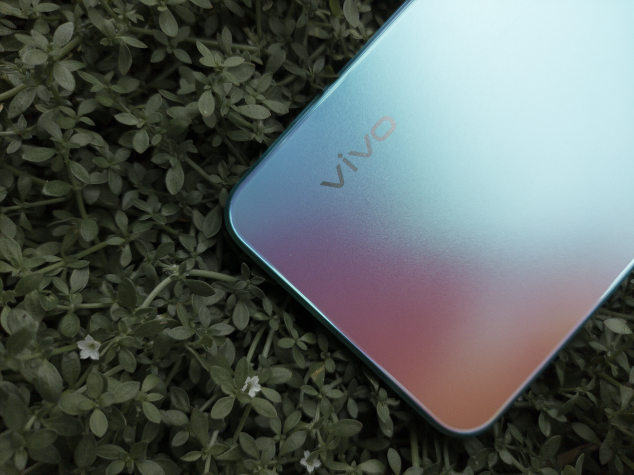 Punggung Vivo T1 5G