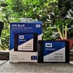 Review WD Blue 3D SSD WDS100T2B0A 1 TB