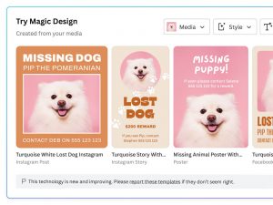 Canva Magic Design