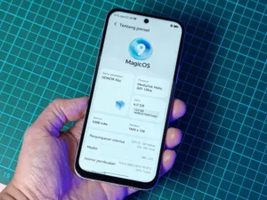 HONOR X6c